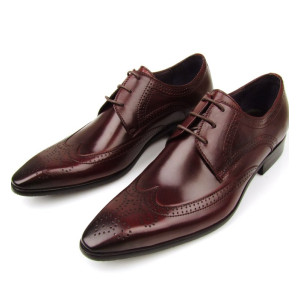 SH019-William Henry Bragg